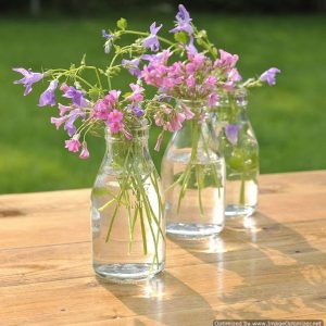 retro glass milk bottles | Flower Vessels