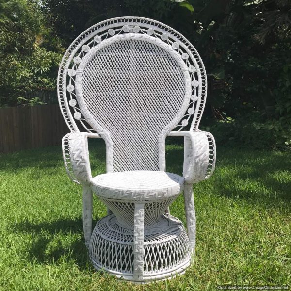 large peacock chair | Guest Seating
