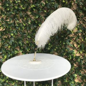 signing pen (ostrich feather) | Other Props & Décor